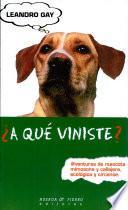 ¿A Qué Viniste?