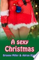 A Sexy Christmas