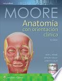 Anatoma Con Orientacin Clnica/ Anatomy With Clinical Orientation