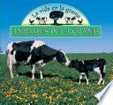 Animales de la granja