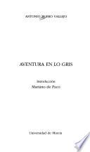 Aventura en lo gris