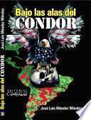 Bajo las alas del Condor