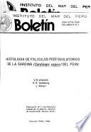 Boletín
