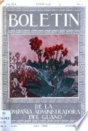 Boletín