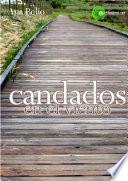 Candados en el viento