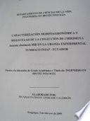 CARACTERIZACION MORFOAGRONOMICA Y MOLECULAR DE LA COLECCIÓN DE CHIRIMOYA ANNONA CHERIMOLA MILL EN LA GRANJA EXPERIMENTAL TUMBACO INIAP-ECUADOR