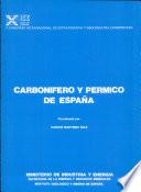 Carbonífero y Pérmico de España
