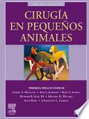 Cirugía en pequeños animales