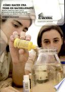 Como Haver Una Tesis En Bachillerato