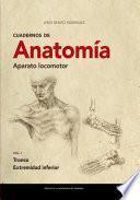 Cuadernos de Anatomía. Aparato locomotor