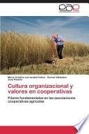 Cultura organizacional y valores en cooperativas