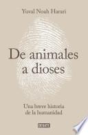 De animales a dioses / From Animals into Gods