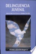 Delincuencia juvenil y respuestas institucionales