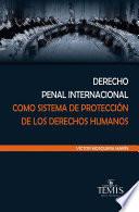 Derecho penal internacional como sistema de protección de los derechos humanos