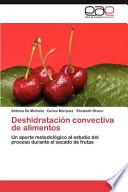 Deshidratación convectiva de alimentos