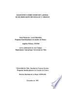 Diagnóstico sobre inserción laboral de mujeres mapuche rurales y urbanas
