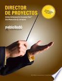 Director de Proyectos