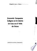Economía campesina indígena en la colonia