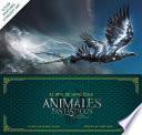 El Arte de La Pelicula de Animales Fantasticos y Donde Encontrarlos