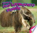 El oso hormiguero gigante