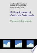 El Practicum en el Grado de Enfermería
