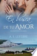 En busca de tu amor (Una aventura en el amor 2)