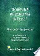 Enseñanza diferenciada en clase I