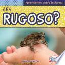 ¿Es rugoso? (What Is Bumpy?)