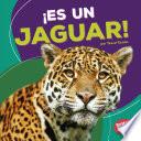 ¡Es un jaguar!