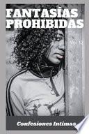 Fantasías Prohibidas (vol 12)