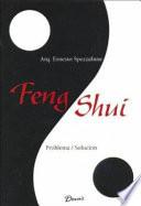 Feng Shui, Problema / solucion / Feng Shui, Problem /