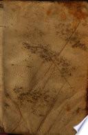 Fiestas de la boda de la incasable mal casada