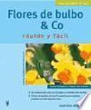 Flores de bulbo & Co