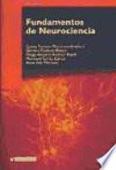 Fundamentos de neurociencia