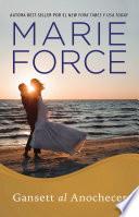 Gansett al Anochecer