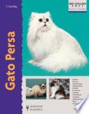 Gato Persa