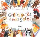 Gatos, gatos y más gatos