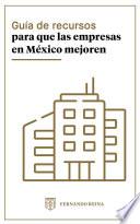 Guía de recursos para que las empresas en México mejoren - Dinámica
