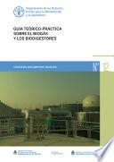 Guía teórico-práctica sobre el biogás y los biodigestores