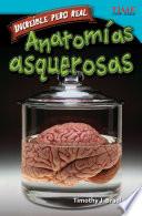 Increíble pero real: Anatomía gruesa