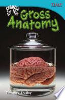 Increíble pero real: Anatomía gruesa (Strange but True: Gross Anatomy) 6-Pack