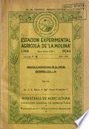 Informe