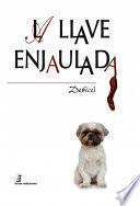LA LLAVE ENJAULADA