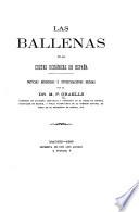Las Ballenas en las costas oceánicas de España