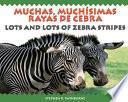 Lots and Lots of Zebra Stripes