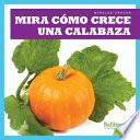 Mira Como Crece Una Calabaza (Watch a Pumpkin Grow)
