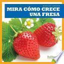 Mira Como Crece Una Fresa (Watch a Strawberry Grow)