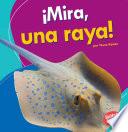 ¡Mira, una raya! (Look, a Ray!)