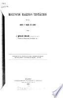 Moluscos marinos testáceos de la costa y bahía de Cádiz