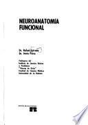 Neuroanatomía funcional
